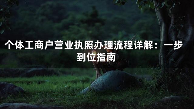 个体工商户营业执照办理流程详解：一步到位指南