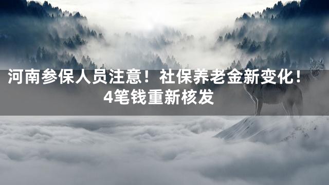 河南参保人员注意！社保养老金新变化！4笔钱重新核发
