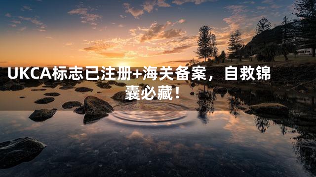 UKCA标志已注册+海关备案，自救锦囊必藏！