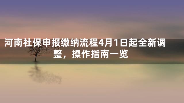 河南社保申报缴纳流程4月1日起全新调整，操作指南一览