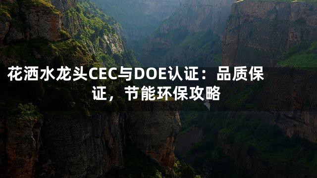 花洒水龙头CEC与DOE认证：品质保证，节能环保攻略