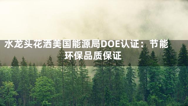 水龙头花洒美国能源局DOE认证：节能环保品质保证