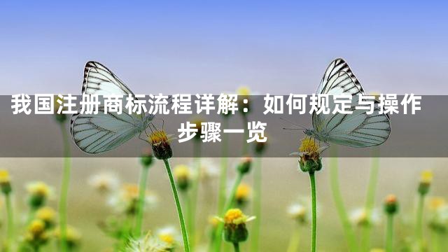 我国注册商标流程详解：如何规定与操作步骤一览