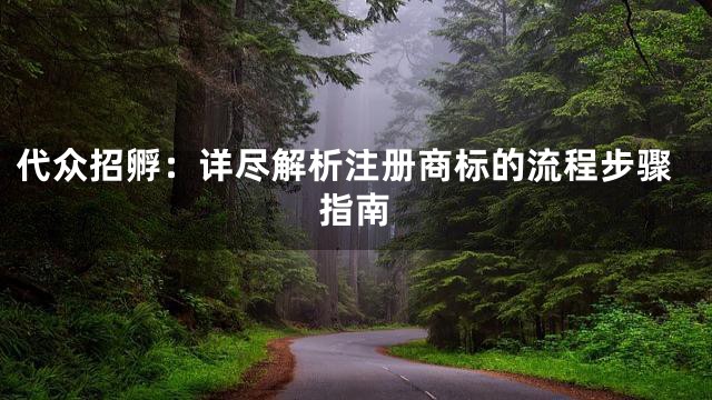代众招孵：详尽解析注册商标的流程步骤指南