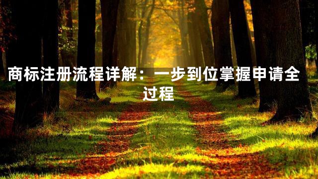 商标注册流程详解：一步到位掌握申请全过程