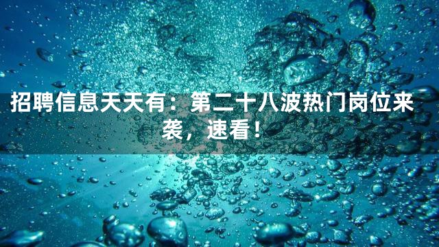招聘信息天天有：第二十八波热门岗位来袭，速看！