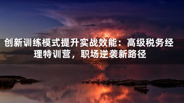 创新训练模式提升实战效能：高级税务经理特训营，职场逆袭新路径