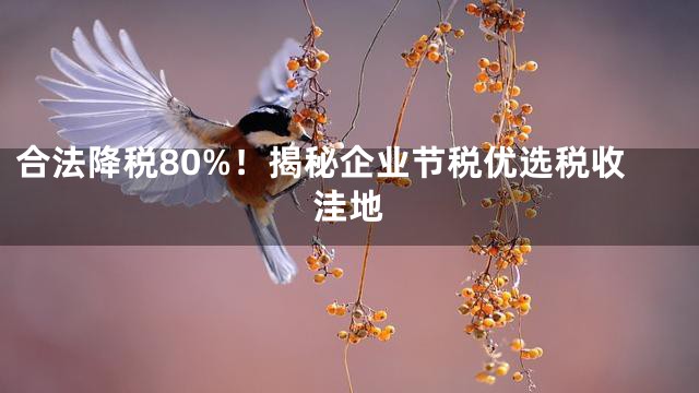 合法降税80%！揭秘企业节税优选税收洼地