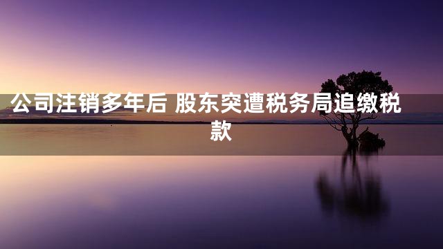 公司注销多年后 股东突遭税务局追缴税款