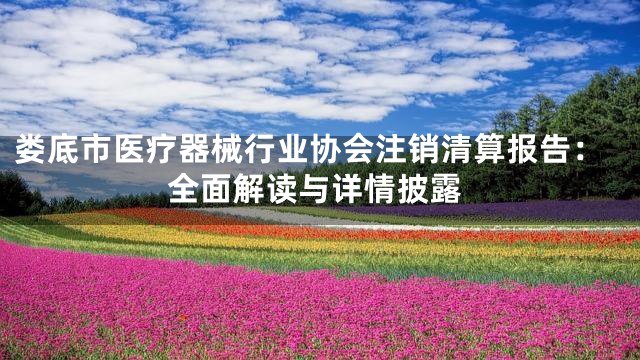 娄底市医疗器械行业协会注销清算报告：全面解读与详情披露