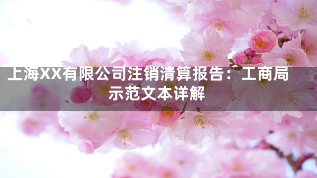 上海XX有限公司注销清算报告：工商局示范文本详解