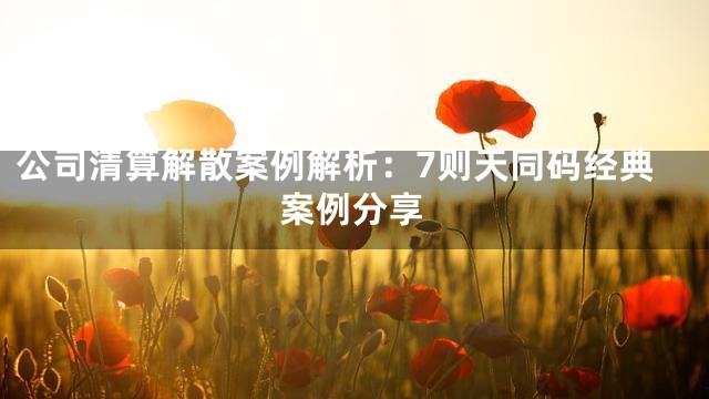 公司清算解散案例解析：7则天同码经典案例分享