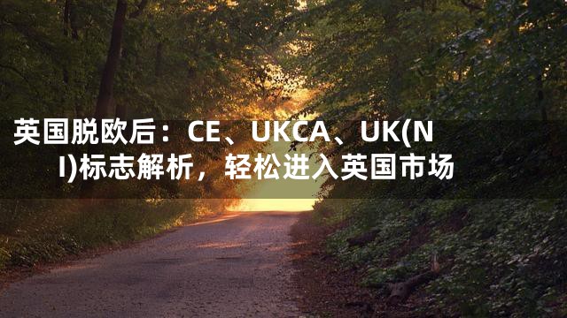 英国脱欧后：CE、UKCA、UK(NI)标志解析，轻松进入英国市场