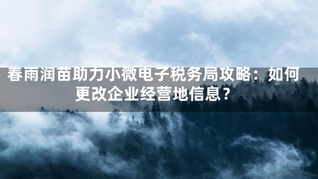 春雨润苗助力小微电子税务局攻略：如何更改企业经营地信息？