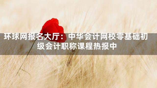环球网报名大厅：中华会计网校零基础初级会计职称课程热报中