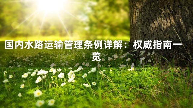 国内水路运输管理条例详解：权威指南一览