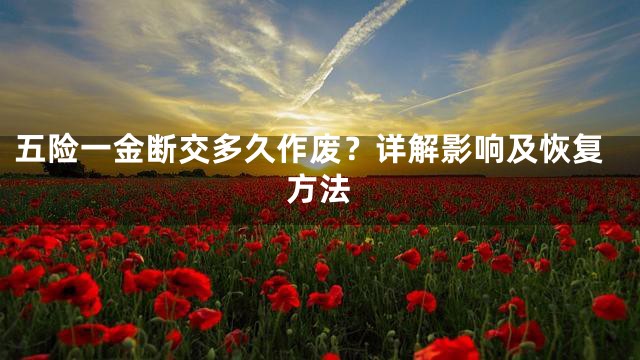 五险一金断交多久作废？详解影响及恢复方法