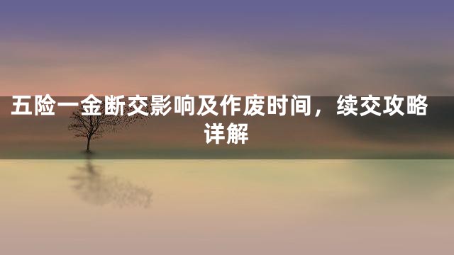 五险一金断交影响及作废时间，续交攻略详解