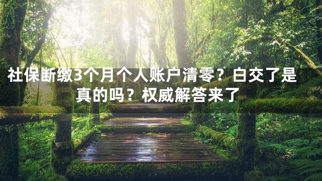 社保断缴3个月个人账户清零？白交了是真的吗？权威解答来了