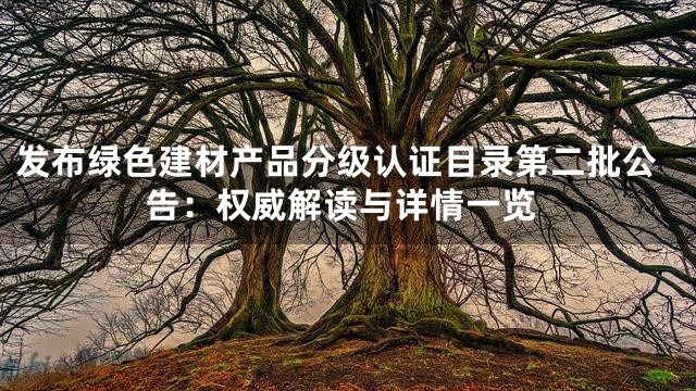 发布绿色建材产品分级认证目录第二批公告：权威解读与详情一览