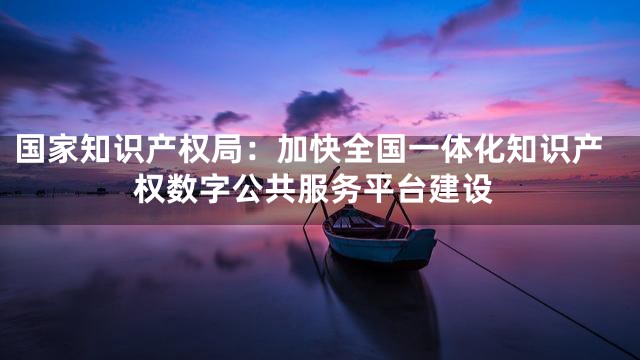 国家知识产权局：加快全国一体化知识产权数字公共服务平台建设