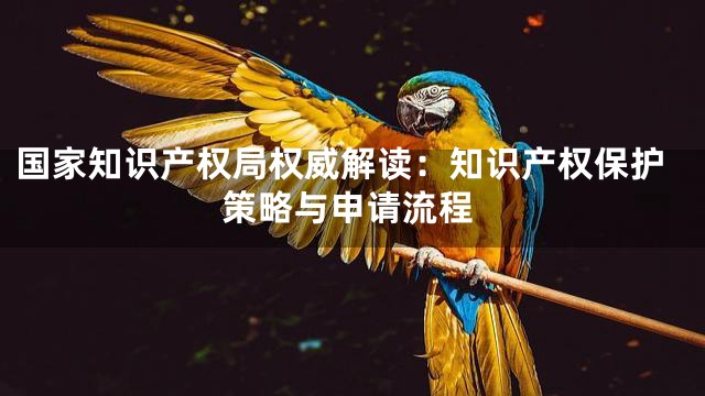 国家知识产权局权威解读：知识产权保护策略与申请流程