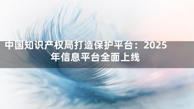 中国知识产权局打造保护平台：2025年信息平台全面上线