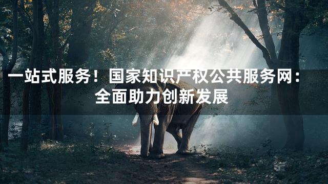 一站式服务！国家知识产权公共服务网：全面助力创新发展