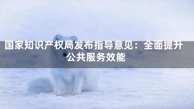 国家知识产权局发布指导意见：全面提升公共服务效能