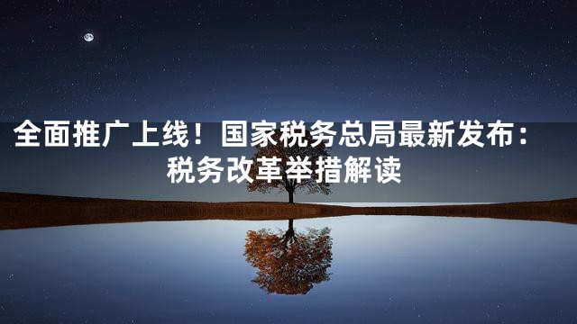 全面推广上线！国家税务总局最新发布：税务改革举措解读