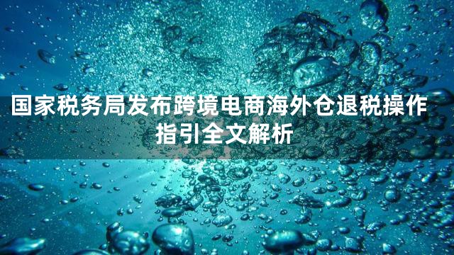 国家税务局发布跨境电商海外仓退税操作指引全文解析