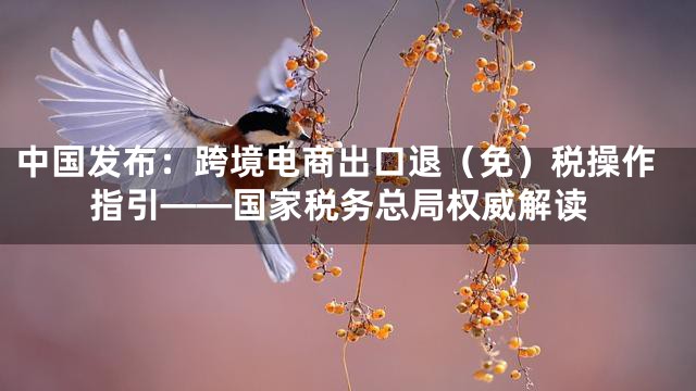 中国发布：跨境电商出口退（免）税操作指引——国家税务总局权威解读