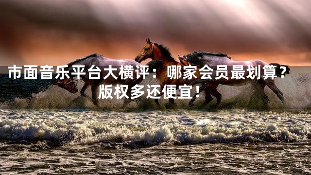 市面音乐平台大横评：哪家会员最划算？版权多还便宜！