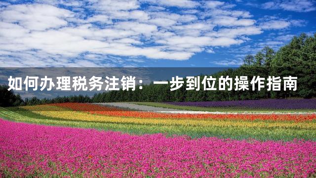 如何办理税务注销：一步到位的操作指南