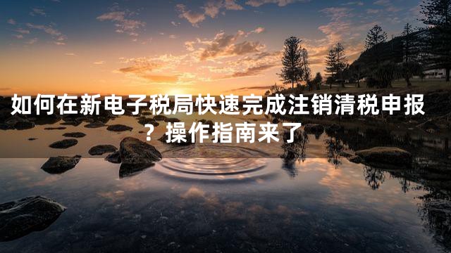如何在新电子税局快速完成注销清税申报？操作指南来了