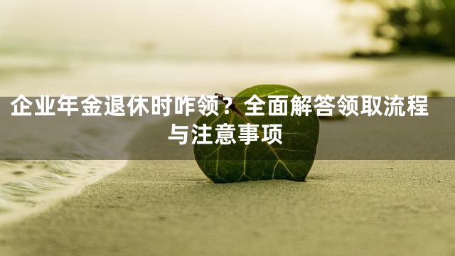 企业年金退休时咋领？全面解答领取流程与注意事项