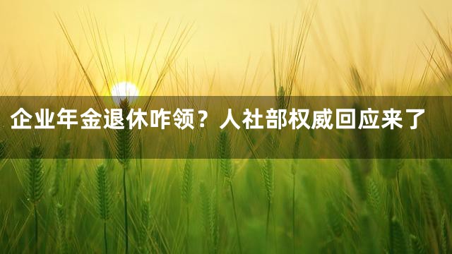 企业年金退休咋领？人社部权威回应来了