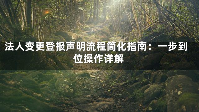 法人变更登报声明流程简化指南：一步到位操作详解
