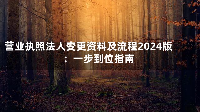 营业执照法人变更资料及流程2024版：一步到位指南