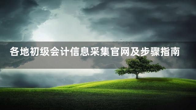 各地初级会计信息采集官网及步骤指南