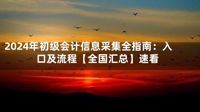 2024年初级会计信息采集全指南：入口及流程【全国汇总】速看