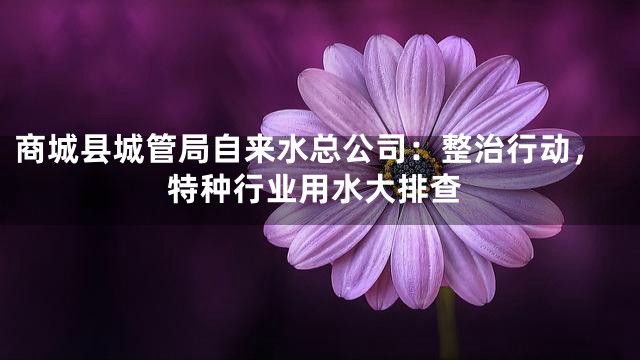 商城县城管局自来水总公司：整治行动，特种行业用水大排查