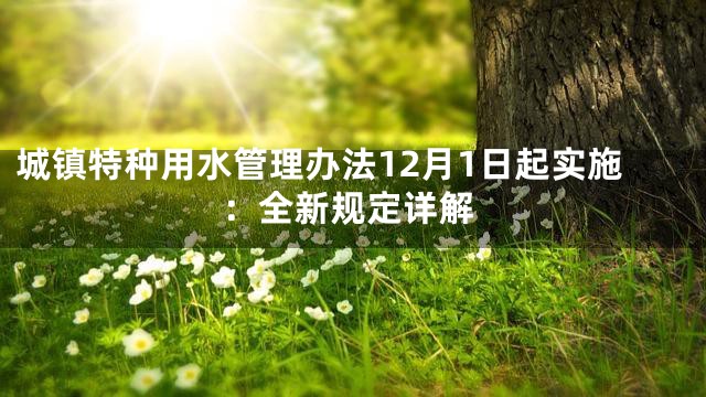 城镇特种用水管理办法12月1日起实施：全新规定详解