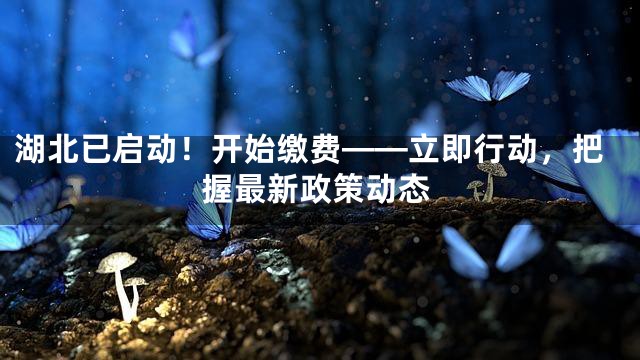湖北已启动！开始缴费——立即行动，把握最新政策动态