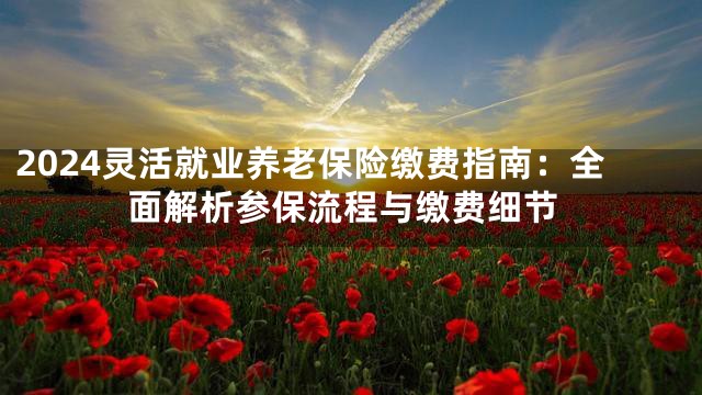 2024灵活就业养老保险缴费指南：全面解析参保流程与缴费细节