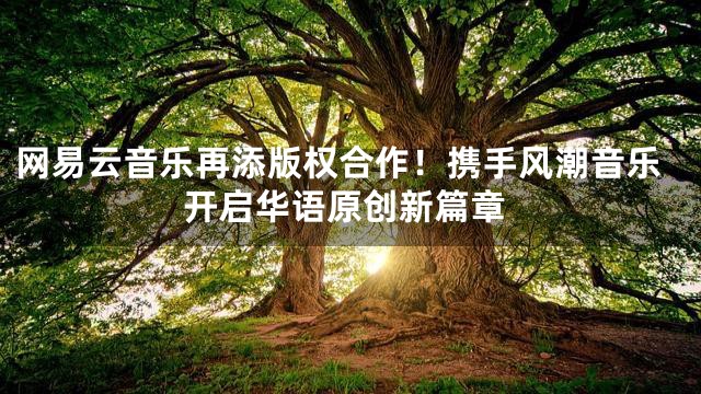 网易云音乐再添版权合作！携手风潮音乐开启华语原创新篇章