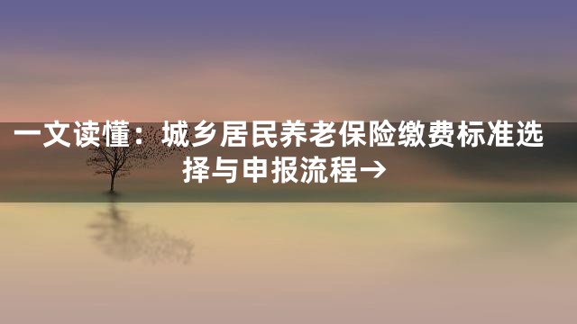一文读懂：城乡居民养老保险缴费标准选择与申报流程→