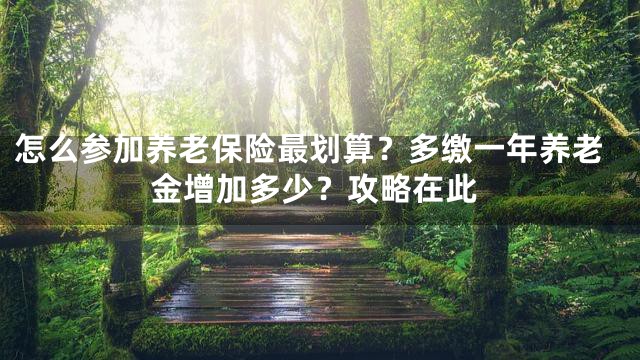 怎么参加养老保险最划算？多缴一年养老金增加多少？攻略在此