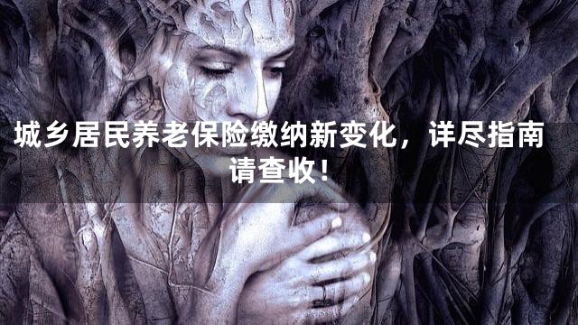 城乡居民养老保险缴纳新变化，详尽指南请查收！