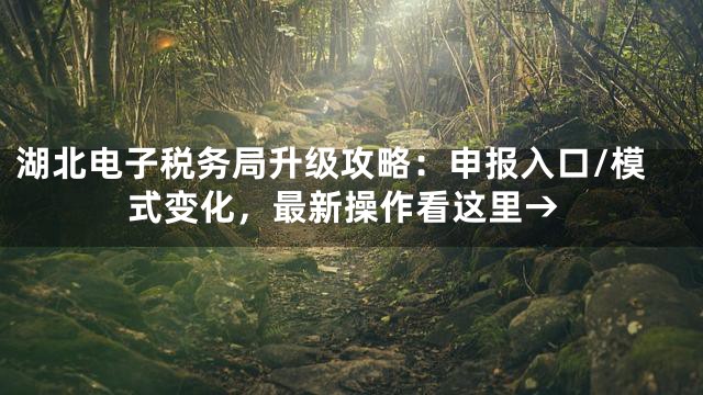 湖北电子税务局升级攻略：申报入口/模式变化，最新操作看这里→